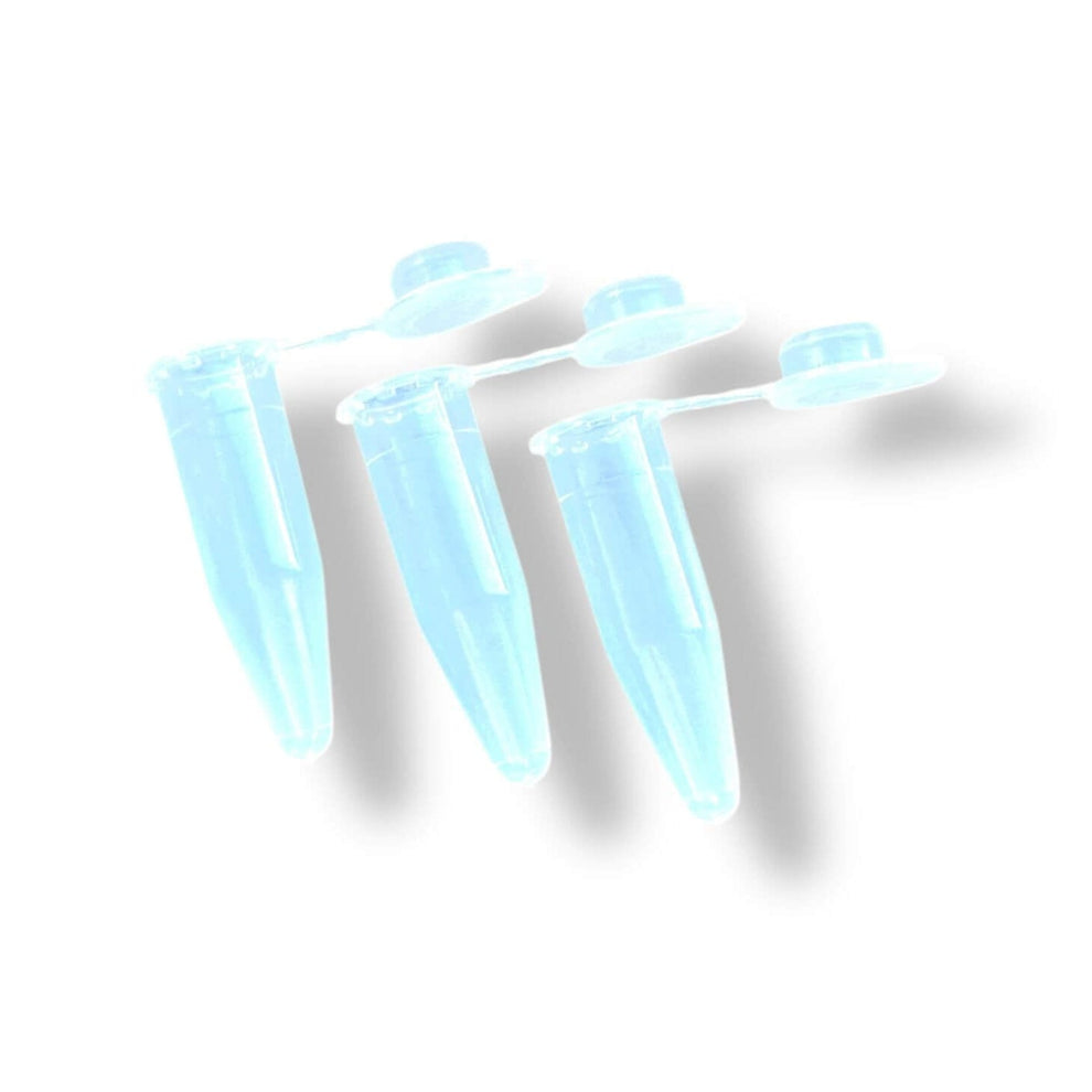 Vacuüm